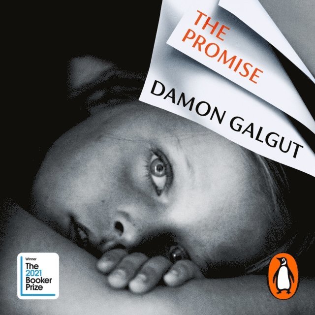 Damon Galgut - Promise, Ljudbok