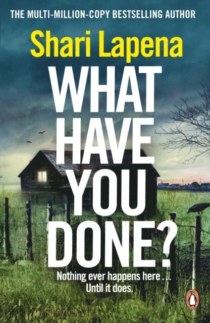 Shari Lapena - What Have You Done?, E-bok
