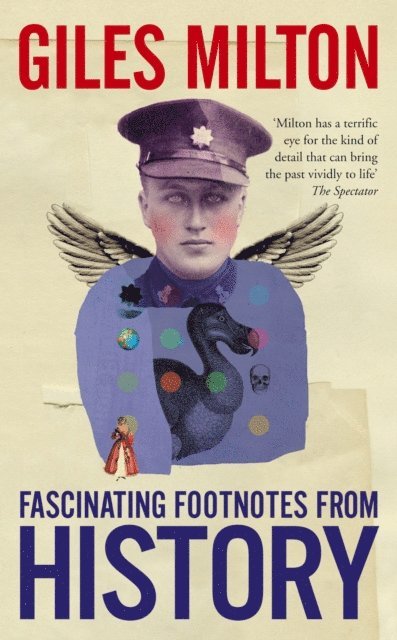 Giles Milton - Fascinating Footnotes From History, E-bok