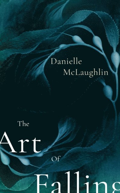 Danielle McLaughlin - Art of Falling, E-bok