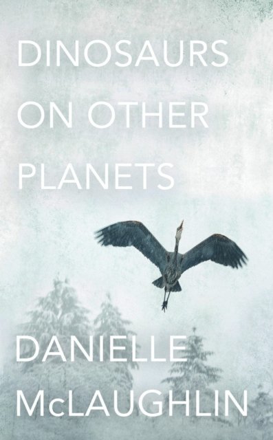 Danielle McLaughlin - Dinosaurs on Other Planets, E-bok