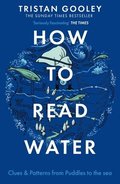 How To Read Water