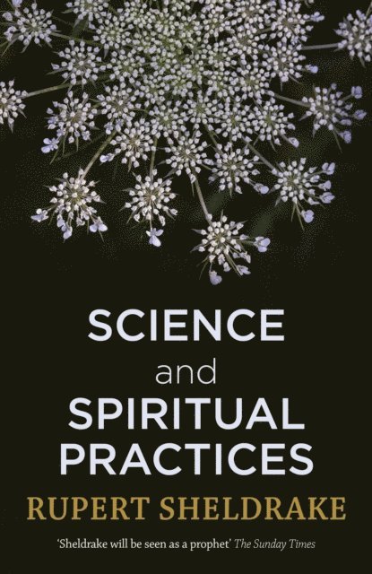 Rupert Sheldrake - Science and Spiritual Practices, E-bok