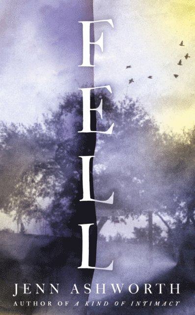 Jenn Ashworth - Fell, E-bok