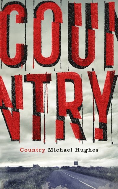 Michael Hughes - Country, E-bok