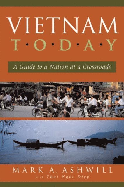 Mark A. Ashwill - Vietnam Today, E-bok