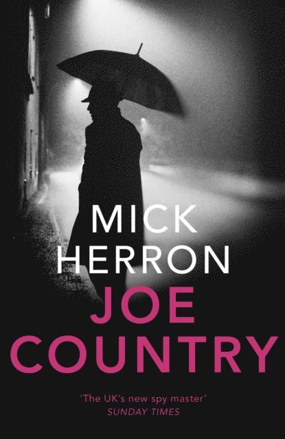 Mick Herron - Joe Country, E-bok