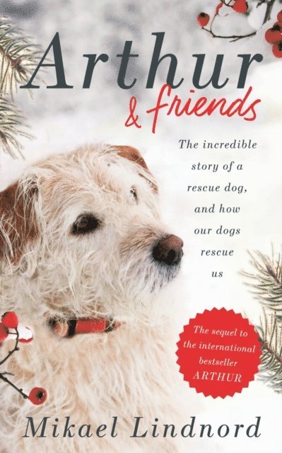 Val Hudson, Mikael Lindnord - Arthur and Friends, E-bok