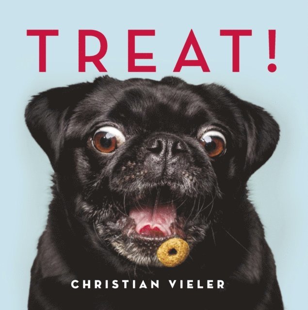 Christian Vieler - Treat!, E-bok