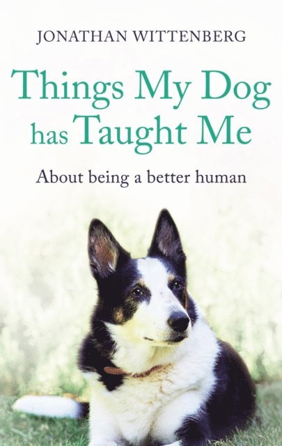 Jonathan Wittenberg - Things My Dog Has Taught Me, E-bok