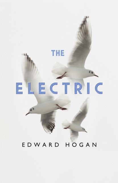 Edward Hogan - Electric, E-bok