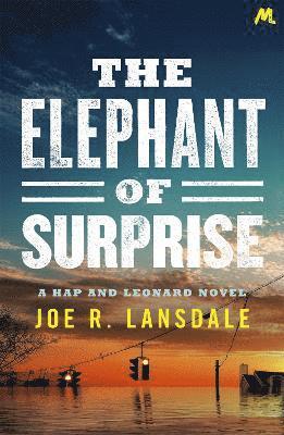 Joe R. Lansdale - Elephant of Surprise, Häftad