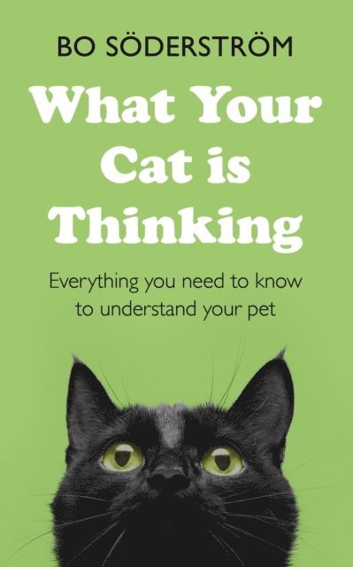 What Your Cat Is Thinking