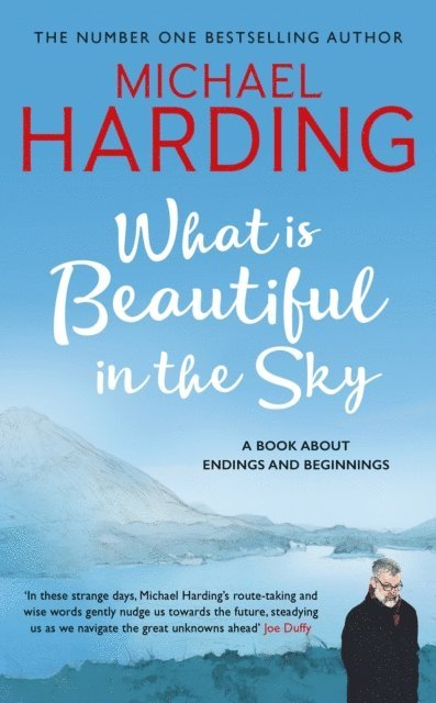 Michael Harding - What is Beautiful in the Sky, E-bok
