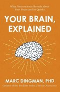 Your Brain, Explained