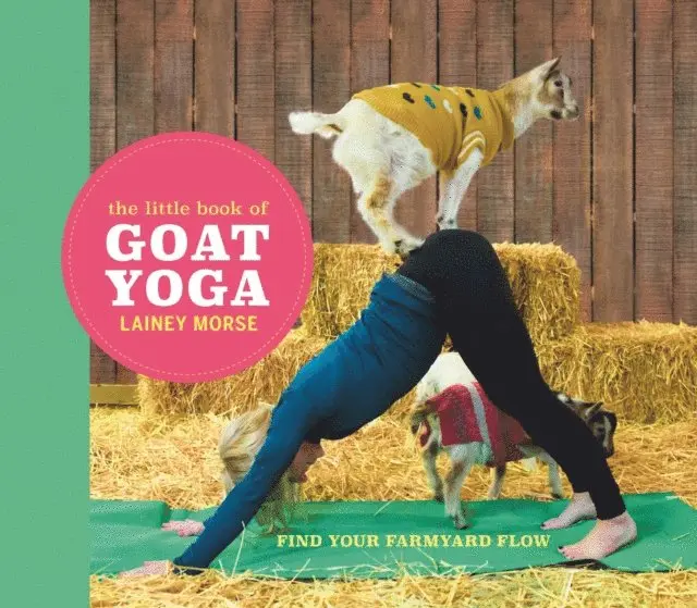 Lainey Morse - Little Book of Goat Yoga, E-bok. Tillgänglighet: Lägg i varukorg