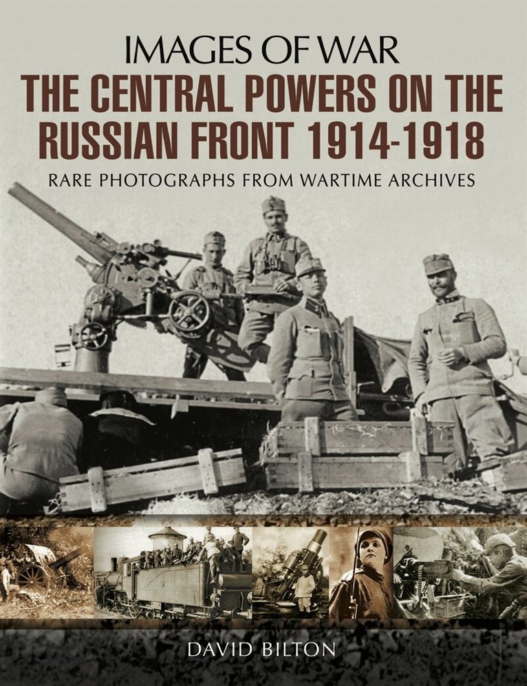 David Bilton - The Central Powers on the Russian Front, E-bok