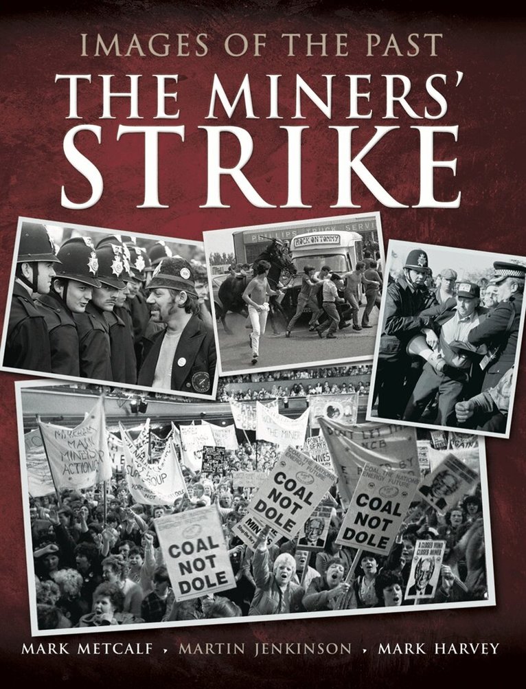 Mark Harvey, Martin Jenkinson, Mark Metcalf - The Miners' Strike, E-bok