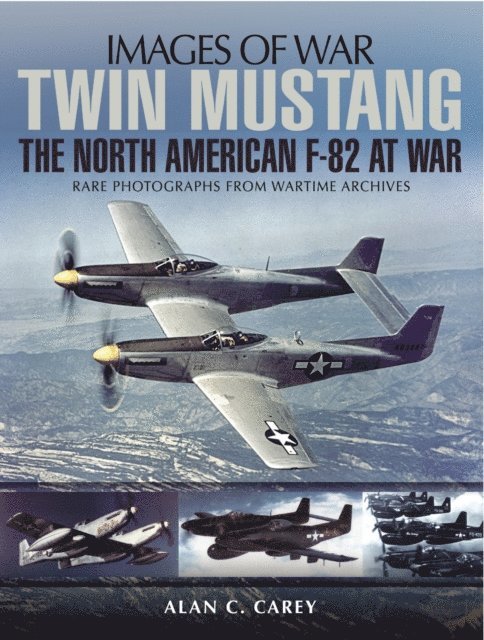 Alan C. Carey - Twin Mustang, E-bok