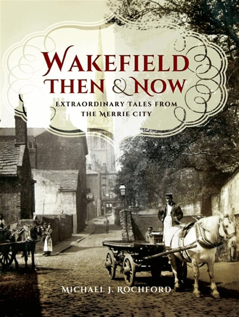Michael J. Rochford - Wakefield Then & Now, E-bok