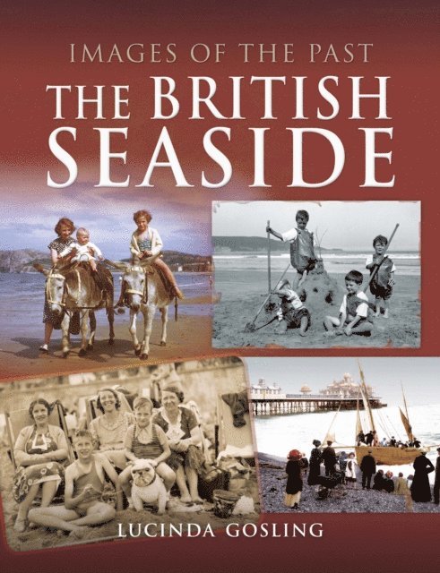 Lucinda Gosling - British Seaside, E-bok