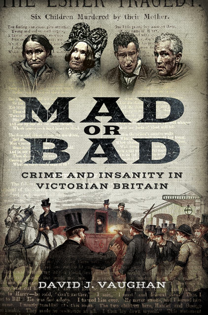 David J. Vaughan - Mad or Bad, E-bok