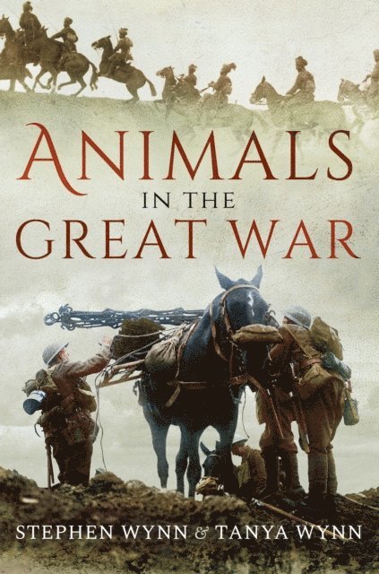 Tanya Wynn, Stephen Wynn - Animals in the Great War, E-bok