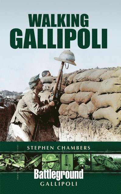 Stephen Chambers - Walking Gallipoli, E-bok