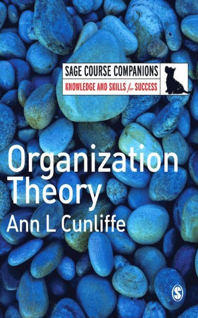 Ann L Cunliffe - Organization Theory, E-bok