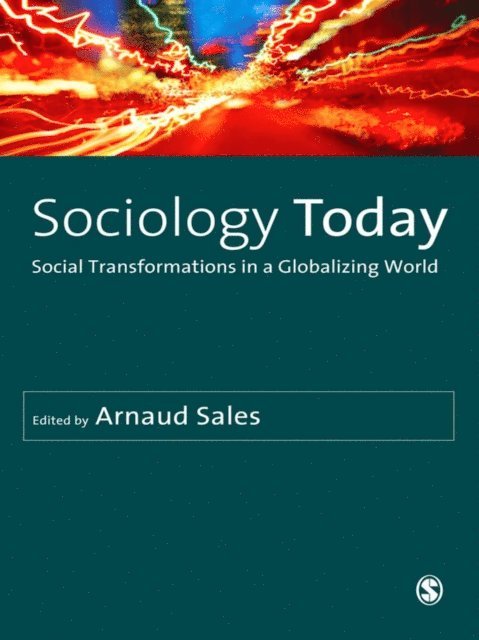 Arnaud Sales - Sociology Today, E-bok