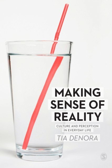 Tia DeNora - Making Sense of Reality, E-bok