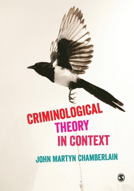 John Martyn Chamberlain - Criminological Theory in Context, E-bok