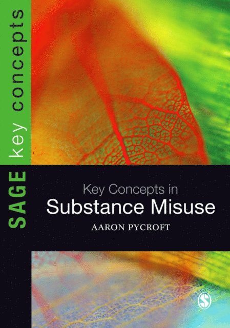 Aaron Pycroft - Key Concepts in Substance Misuse, E-bok
