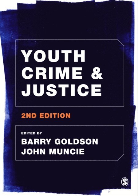 John Muncie, Barry Goldson - Youth Crime and Justice, E-bok