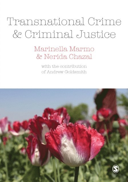 Nerida Chazal, Marinella Marmo - Transnational Crime and Criminal Justice, E-bok