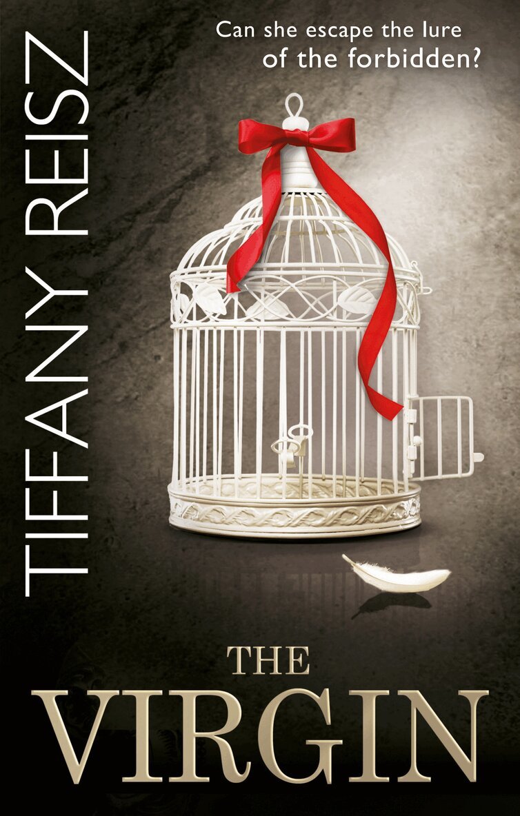 Tiffany Reisz - Virgin, E-bok