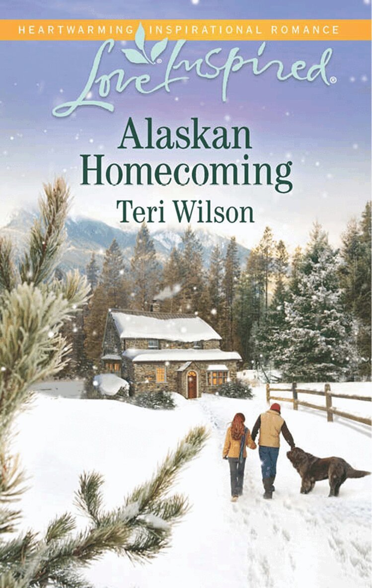Teri Wilson - Alaskan Homecoming, E-bok