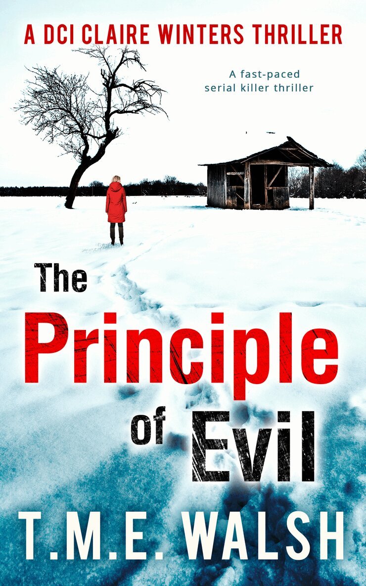T.M.E. Walsh - Principle of Evil, E-bok