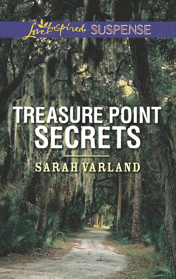 Sarah Varland - Treasure Point Secrets, E-bok