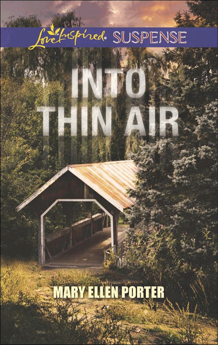 Mary Ellen Porter - Into Thin Air, E-bok