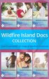 WILDFIRE ISLAND DOCS EB