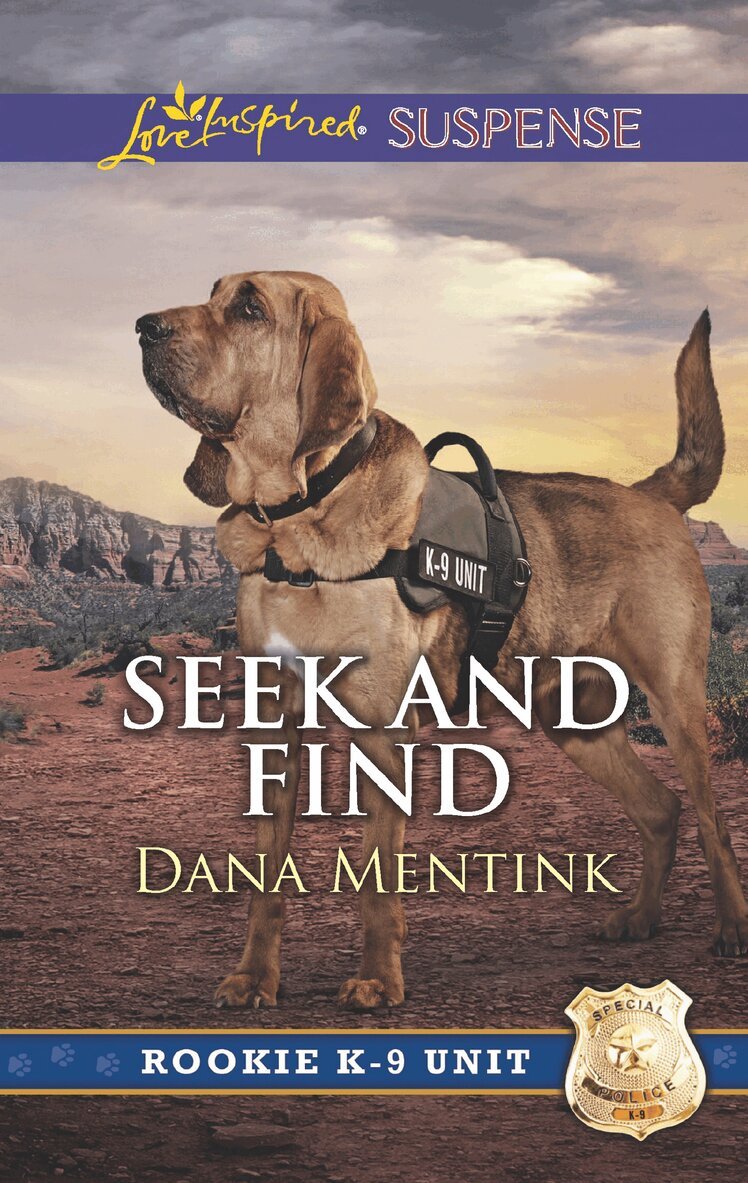 Dana Mentink - Seek And Find, E-bok
