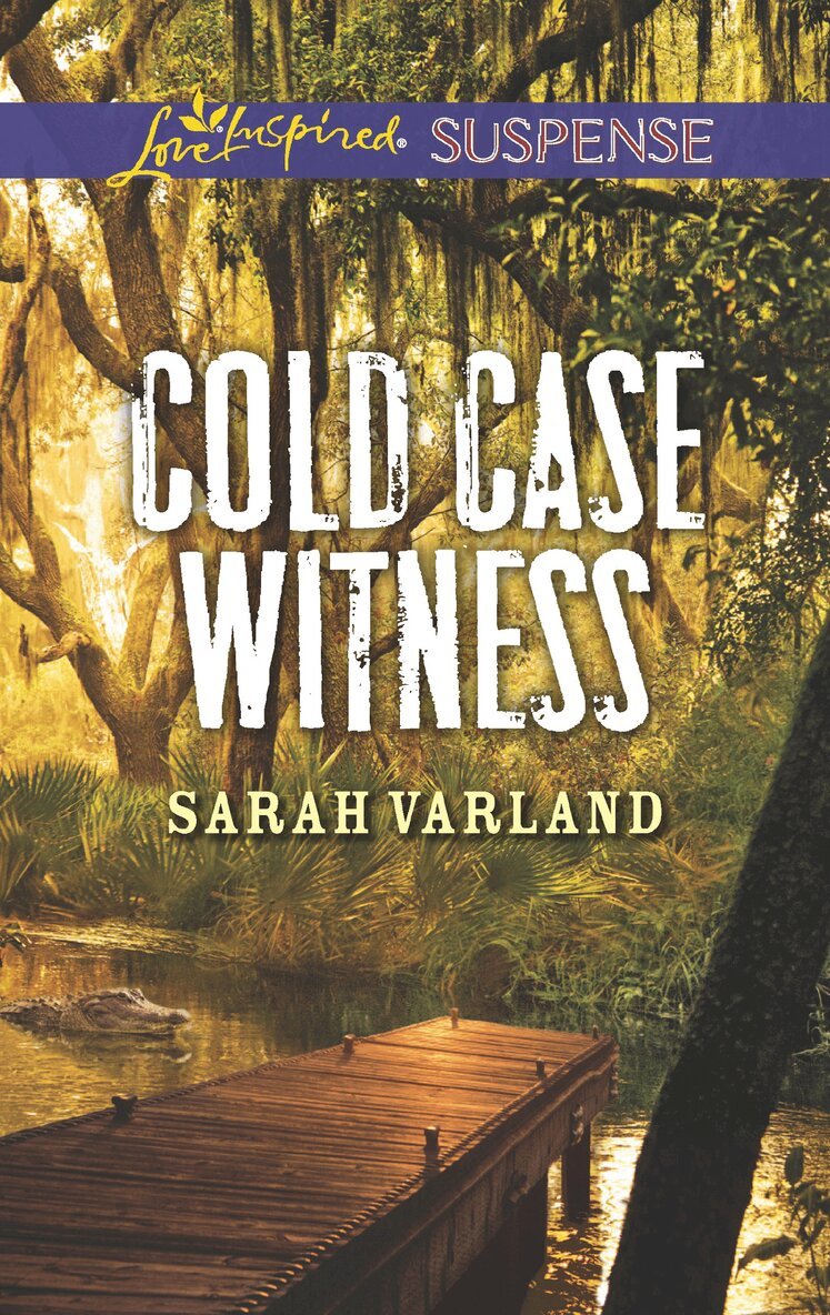 Sarah Varland - Cold Case Witness, E-bok