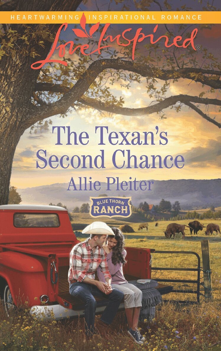Allie Pleiter - Texan's Second Chance, E-bok
