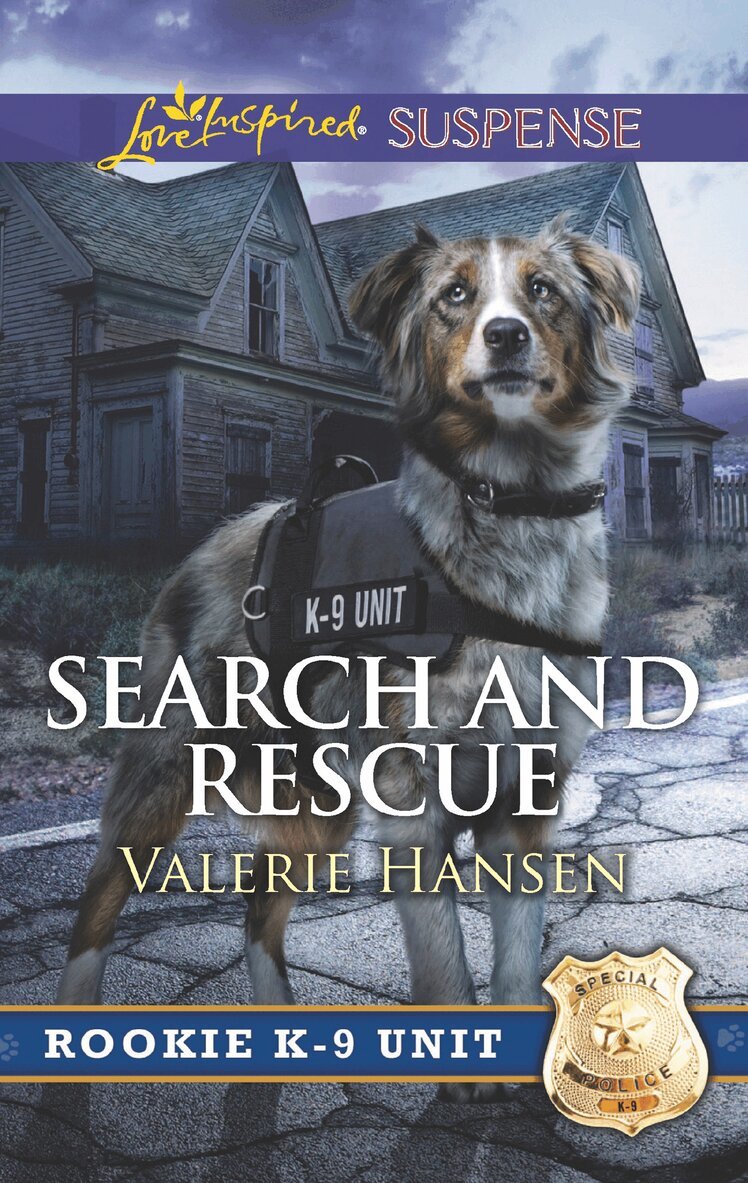 Valerie Hansen - Search And Rescue, E-bok