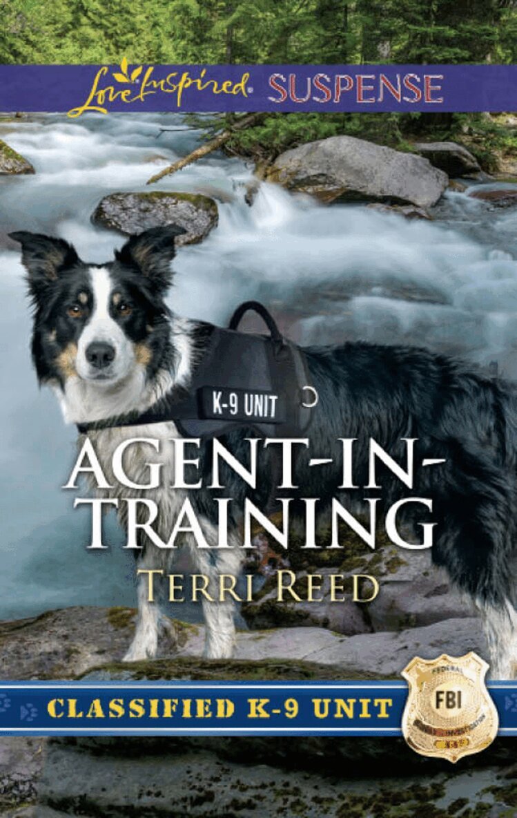 Terri Reed - Agent-In-Training, E-bok