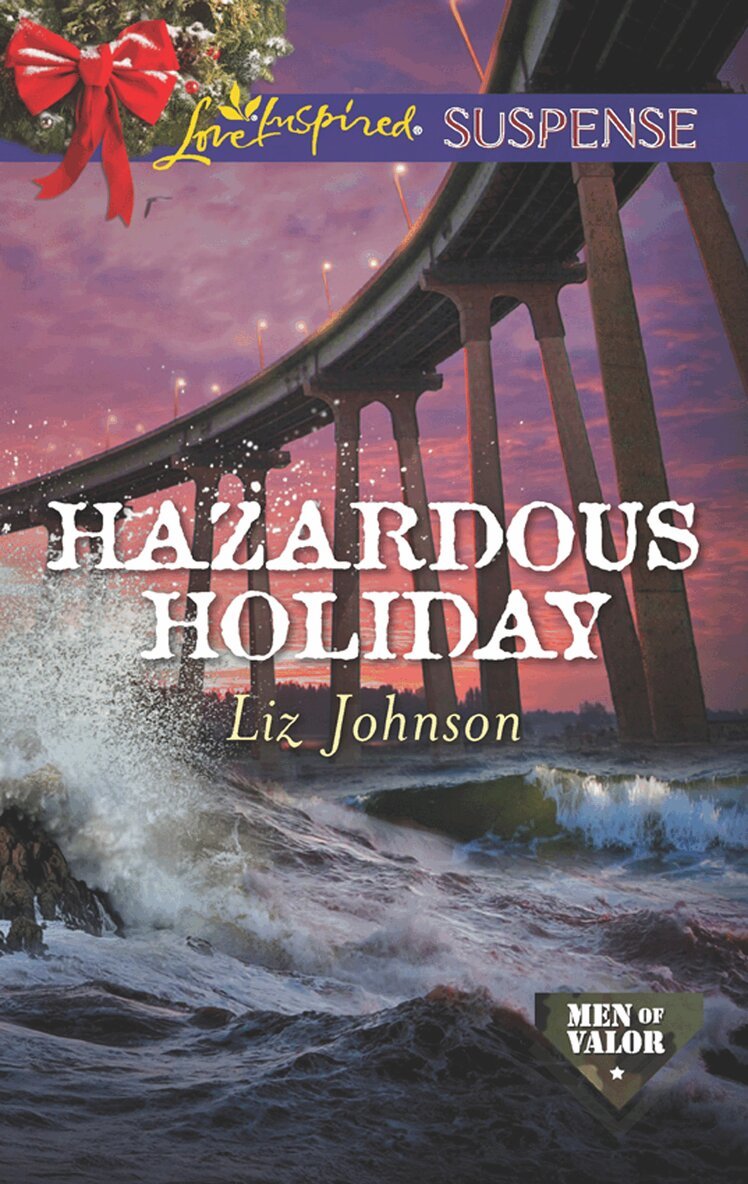 Liz Johnson - Hazardous Holiday, E-bok