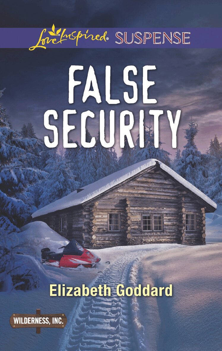 Elizabeth Goddard - False Security, E-bok