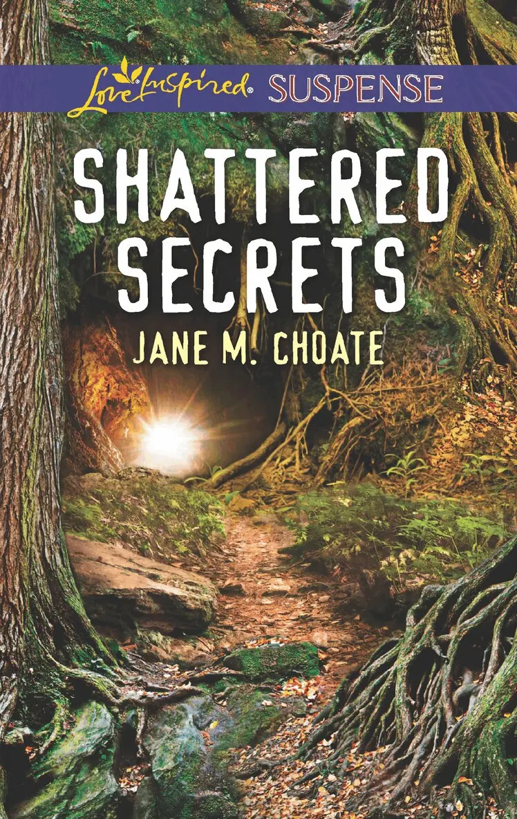 Jane M. Choate - Shattered Secrets, E-bok. Tillgänglighet: Lägg i varukorg