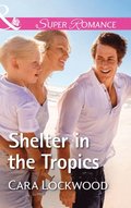 Shelter In The Tropics (Mills & Boon Superromance)